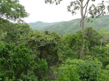 Tayland 'da Eravan Şelalesi, Güneydoğu Asya