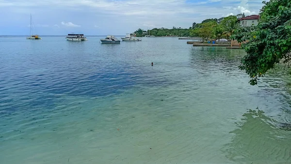 Caribische Zee Jamaica Heldere Vegetatie Het Leven Van Stad Ocho — Stockfoto