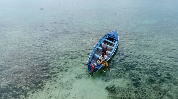 Karibik Jamaika Helle Vegetation Und Leben Der Stadt Ocho Rios — Stockfoto