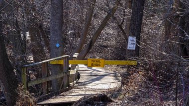 Kanada 'nın küçük Grimsby kasabası dinlenmek ve yürümek için harika bir yer. Küçük evler, parlak bitki örtüsü, su..