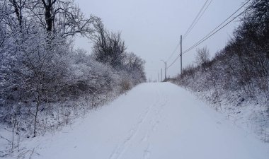 Kanada 'nın Ontario eyaletindeki Hamilton şehrinde şelaleler. İnanılmaz orman, kış ve bahar havası, dinlenmek için harika yerler.