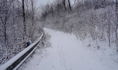 Kanada 'nın Ontario eyaletindeki Hamilton şehrinde şelaleler. İnanılmaz orman, kış ve bahar havası, dinlenmek için harika yerler.