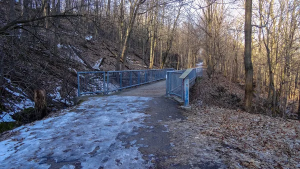 Vattenfall Den Kanadensiska Staden Hamilton Ontario Otrolig Skog Vinter Och — Stockfoto