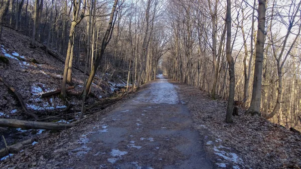 Kanada Nın Ontario Eyaletindeki Hamilton Şehrinde Şelaleler Nanılmaz Orman Kış — Stok fotoğraf