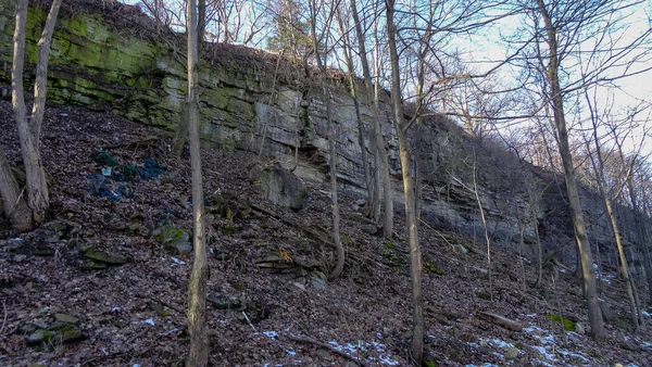 Vattenfall Den Kanadensiska Staden Hamilton Ontario Otrolig Skog Vinter Och — Stockfoto