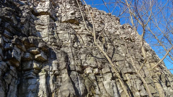 Vattenfall Den Kanadensiska Staden Hamilton Ontario Otrolig Skog Vinter Och — Stockfoto