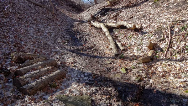 Kanada Nın Ontario Eyaletindeki Hamilton Şehrinde Şelaleler Nanılmaz Orman Kış — Stok fotoğraf