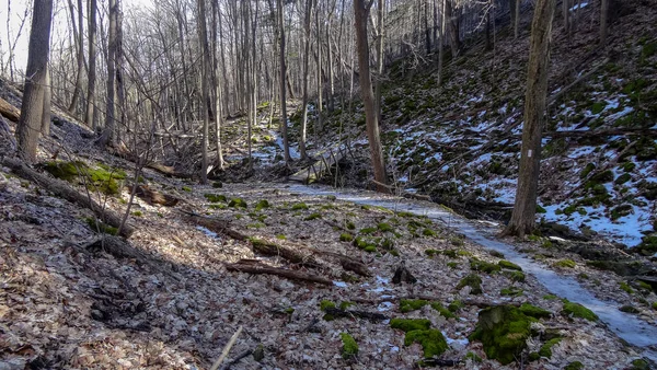 Kanada Nın Ontario Eyaletindeki Hamilton Şehrinde Şelaleler Nanılmaz Orman Kış — Stok fotoğraf