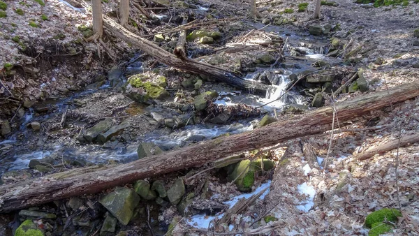 Kanada Nın Ontario Eyaletindeki Hamilton Şehrinde Şelaleler Nanılmaz Orman Kış — Stok fotoğraf