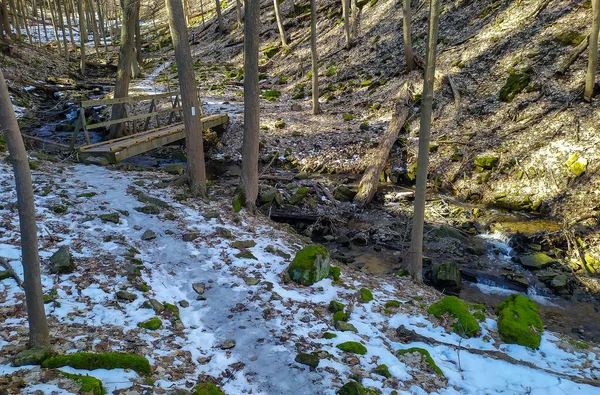 Водопады Канадском Городе Гамильтон Онтарио Невероятный Лес Зимняя Весенняя Погода — стоковое фото