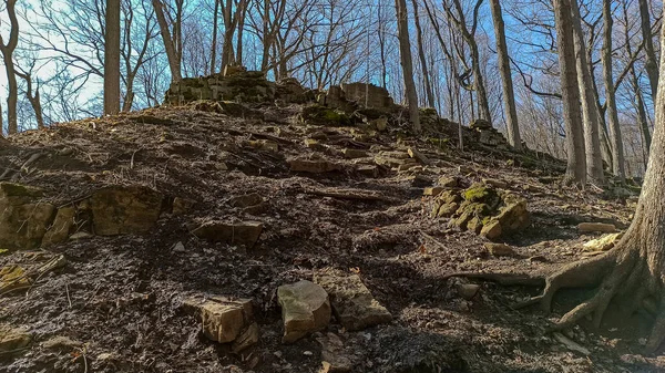 Kanada Nın Ontario Eyaletindeki Hamilton Şehrinde Şelaleler Nanılmaz Orman Kış — Stok fotoğraf