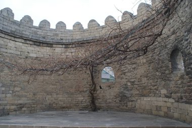 Azerbaycan özgün bir kültüre ve uzun bir geçmişe sahip bir ülkedir. Güzel binalar, parlak sokaklar, iyi insanlar..