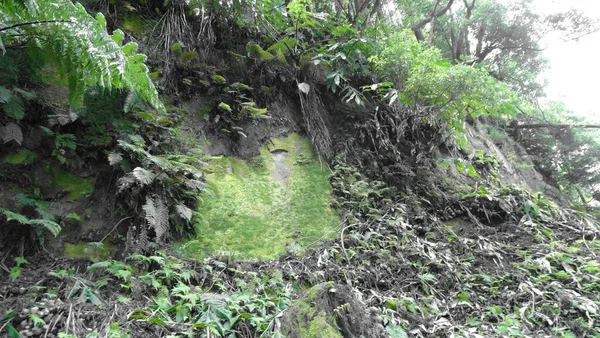 Lago Furnash Una Gemma Delle Azzorre Bella Natura Acqua Meravigliosa — Foto Stock