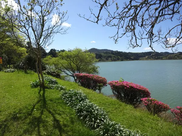 弗尔纳什湖是亚速尔人的宝库 美丽的自然 美妙的水 美丽的圣米格尔岛 — 图库照片