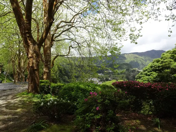 Lago Furnash Una Joya Las Azores Hermosa Naturaleza Agua Maravillosa — Foto de Stock