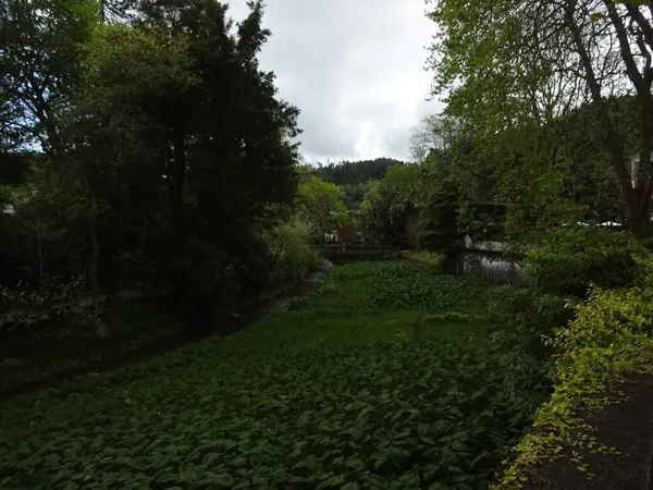 Lake Furnash Een Juweeltje Van Azoren Prachtige Natuur Prachtig Water — Stockfoto