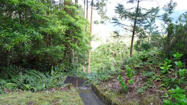 Lagos Deslumbrantes Nos Açores Blue Green Lakes Incrível Atmosfera Beleza — Fotografia de Stock