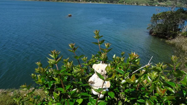 亚速尔湖中令人惊叹的湖泊 蓝色和绿色的湖泊 令人惊奇的氛围 美丽和洁净 你放心吧 — 图库照片