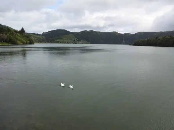 アゾレス諸島の素晴らしい湖 青と緑の湖 素晴らしい雰囲気 美しさと清潔 安静に — ストック写真