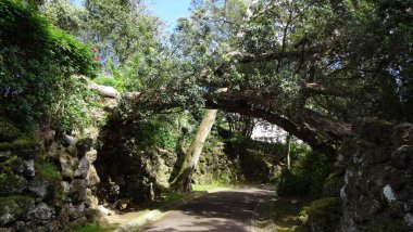 Azores. Kalmak için harika bir yer. San Miguel adasının başkenti Ponta Delgada şehridir. Portekiz 'in antik mimarisi