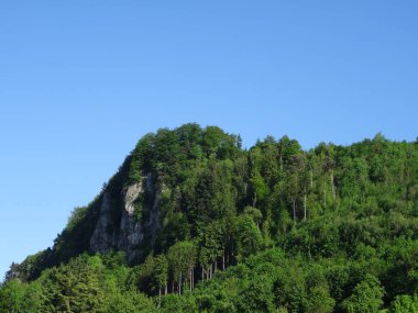 Güzel Avusturya doğası ve mimarisi. Feldkirch ve Bregenz kalmak için harika yerler. Dağlar ve şehirler, uçmak yok.