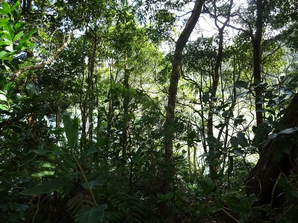 Superbes Lacs Des Açores Lacs Bleus Verts Atmosphère Incroyable Beauté — Photo