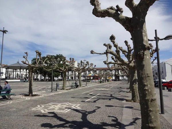 Azoren Een Geweldige Plek Verblijven Hoofdstad Van Het Eiland San — Stockfoto