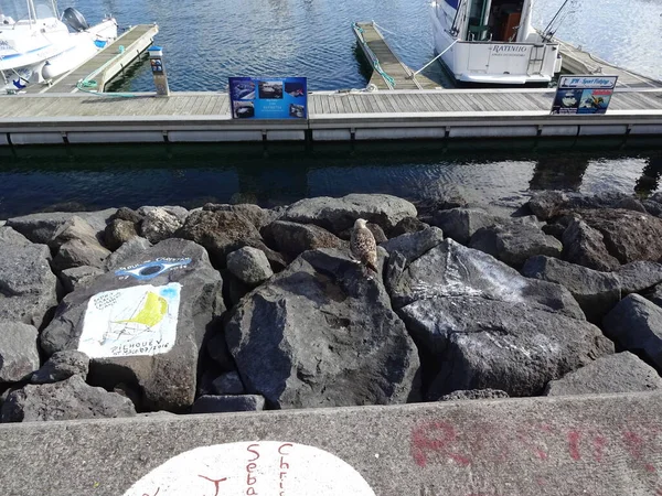 アゾレス諸島 滞在する素晴らしい場所です サンミゲル島の首都はポンタ デルガダ市である ポルトガルの古代建築 — ストック写真