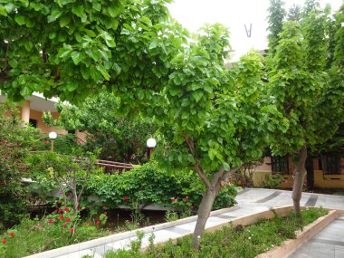 Girit Adası, Girit Denizi 'ndeki harika plajı, büyüleyici doğa ve şirin tatil beldeleri.