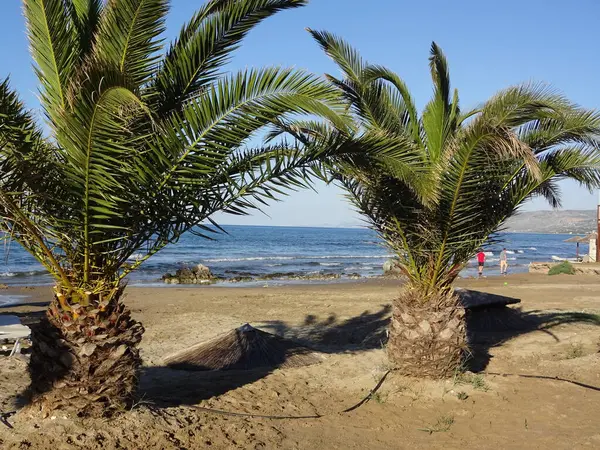 Kreta Eiland Zijn Prachtige Strand Kretenzische Zee Prachtige Natuur Leuke — Stockfoto
