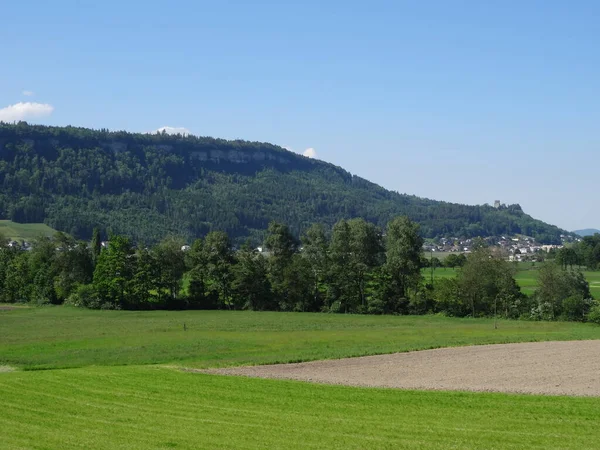 Schaanwald Stad Liechtenstein Vacker Natur Alperna Fantastiska Berg Med Grönska — Stockfoto
