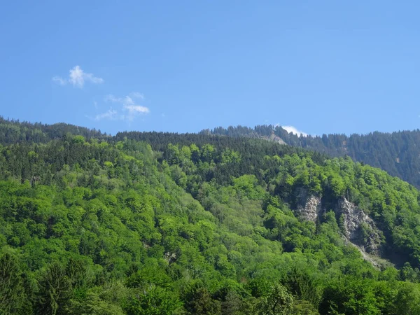 Schaanwald City Liechtenstein Beautiful Nature Alps Stunning Mountains Greenery Snow — Stock Photo, Image