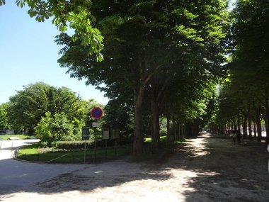 Paris çok güzel. Vincennes Ormanı, Tuileries ve Champ-elysees 'de yürüyün.