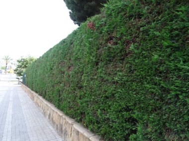 Katalonya 'nın başkenti Barcelona' dır. Gaudi 'nin muhteşem mimarisinin olduğu harika bir yer. Merkezde ve bahçelerde yürür