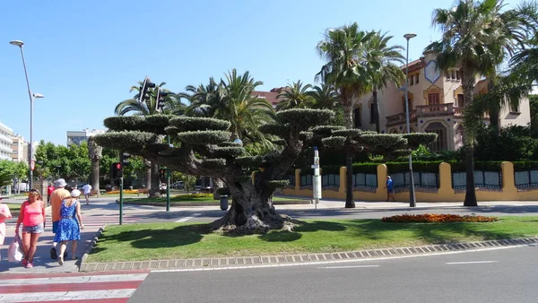 Salou Una Ciudad Muy Cool Costa Costa Dorada España Hay — Foto de Stock