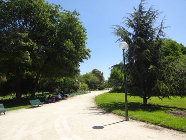 Paris çok güzel. Vincennes Ormanı, Tuileries ve Champ-elysees 'de yürüyün.