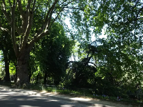 Paris Linda Caminhe Pela Floresta Vincennes Tulherias Campos Elísios — Fotografia de Stock