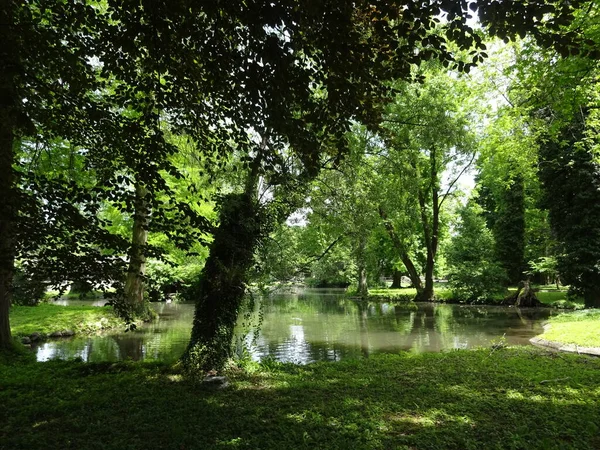 Zwitserse Stad Bazel Lange Erlen Park Oud Centrum Stadhuis Prachtige — Stockfoto