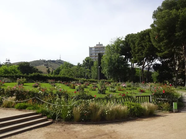 Capital Catalunha Barcelona Lugar Incrível Com Magnífica Arquitetura Gaudi Passeios — Fotografia de Stock