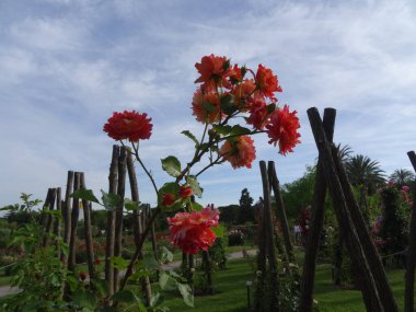 Katalonya 'nın başkenti Barcelona' dır. Gaudi 'nin muhteşem mimarisinin olduğu harika bir yer. Merkezde ve bahçelerde yürür