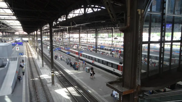 Ciudad Suiza Basilea Parque Lange Erlen Casco Antiguo Ayuntamiento Impresionante — Foto de Stock