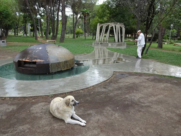 Antigua Ciudad Balcánica Tirana Increíbles Edificios Naturaleza Agradable Una Vida — Foto de Stock