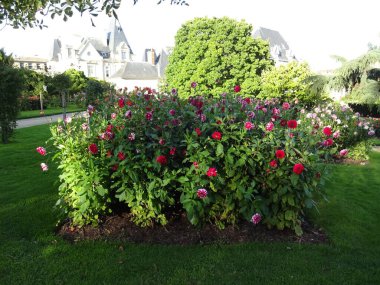 Rennes çok güzel ve yaşanabilir bir şehir. Bu fotoğraf serisinde filtresiz merkez mimari ve ilginç yerler