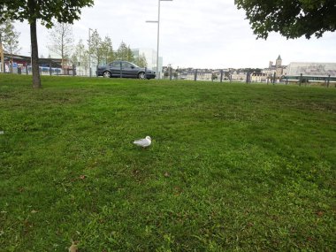 Caen Anıtı ve bu kuzeydeki inanılmaz binalar. Fransız atmosferi, sokaklar, güzel parklar ve İkinci Dünya Savaşı ile ilgili anılar..