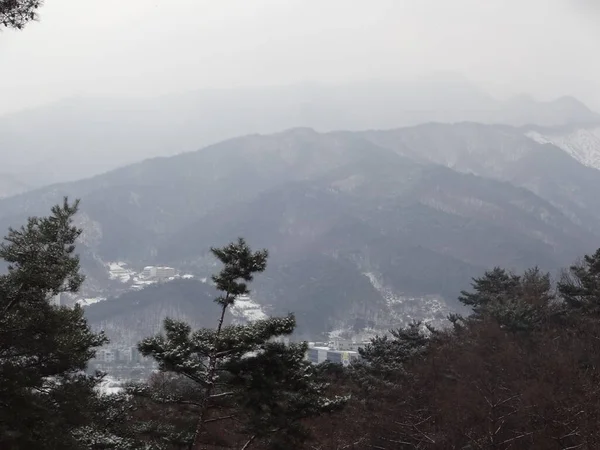 2018年平昌奥运会 令人惊奇的运动和文化节 照片不过滤 韩国文化 竞赛和奥林匹克公园 — 图库照片