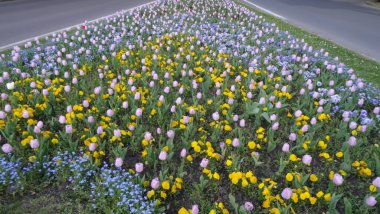 Eğer tarihi ve sağlıklı bir tatil için harika bir yer. Güzel Macar mimarisi