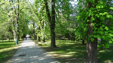 Miskolctapolca - mağaralarda büyüleyici hamamlar. Macaristan termal havuzlarıyla ünlüdür. Ve şehir çok güzel.