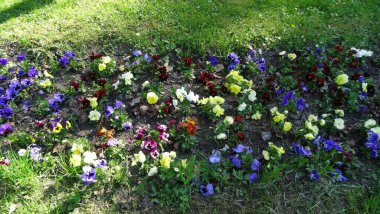 Miskolctapolca - mağaralarda büyüleyici hamamlar. Macaristan termal havuzlarıyla ünlüdür. Ve şehir çok güzel.