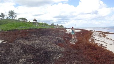 Tulum çarpıcı doğası ve güzel bir plajı olan bir şehirdir. Meksika dinlenmeyi seven turistler için bir cennettir.