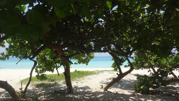 Los Colores Increíbles Varadero Puesta Sol Buenos Días Belleza Costa —  Fotos de Stock